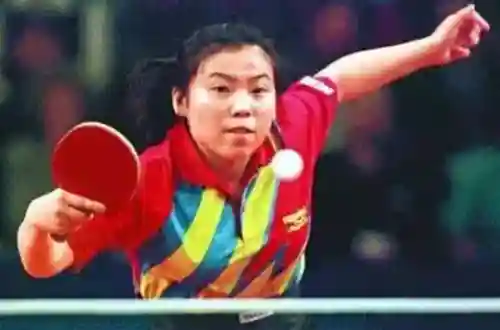 中国十大英雄人物(10位英雄人物介绍)插图5