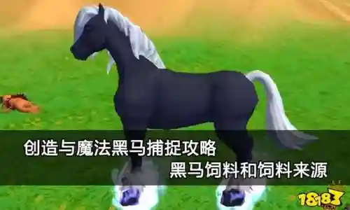 创造与魔法黑马饲料(创造与魔法十大平民坐骑)