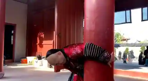 孙悟空武僧搭配什么阵容(沙僧最强技能搭配)插图6