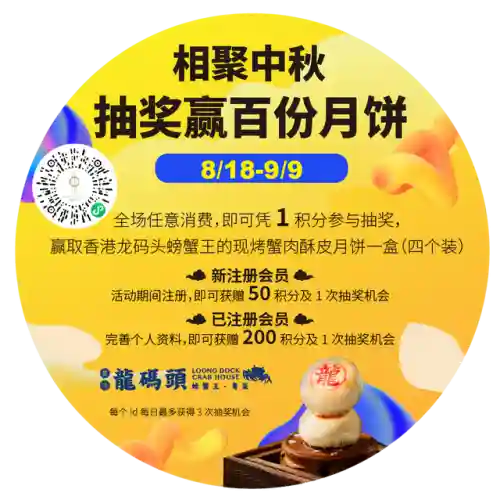 夜行动物极光宝藏活动(极光宝藏重复衣服怎么换碎片)插图54