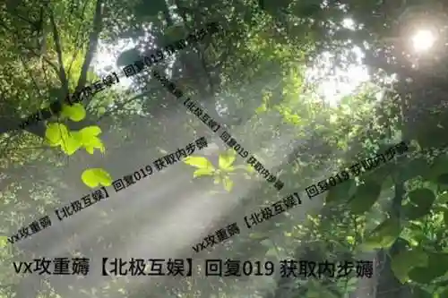 千仞雪阵容搭配2024(斗罗大陆斗神再临千仞雪阵容搭配)