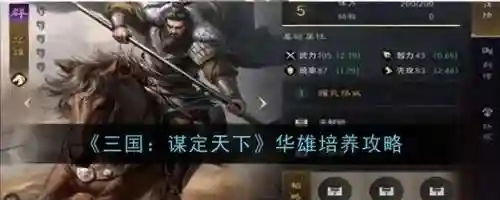 华雄战法搭配和阵容推荐(华雄的阵容搭配方案)