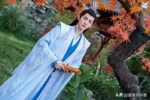 仙侠风云排位阵容搭配(剑侠传奇最强10人阵容)插图6