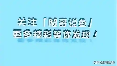 异形皇后搭配什么阵容最好(异次元公主最强阵容)插图13