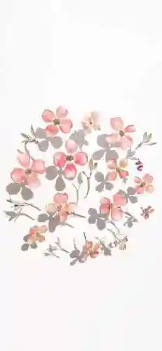 壁纸2023最新壁纸(屏幕图片壁纸)插图27
