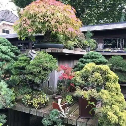 梦幻庭园搭配阵容图片大全(花境植物搭配效果图)插图24