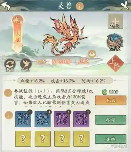 传奇朱雀阵容搭配图表最新(云顶之弈最新阵容图表)
