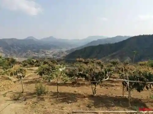 开荒草队搭配什么阵容(三国志战略版开荒队伍)插图11