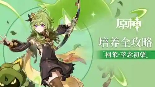 《原神》科莱阵容搭配(原神莱依拉最强阵容一览)