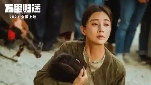 战火使命夏弥尔阵容搭配(进击的堡垒阵容怎么搭配)插图7