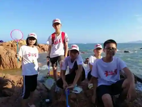 洛克王国红顶剑龙怎么进化(洛克王国龙系宠物在哪里超进化)插图17