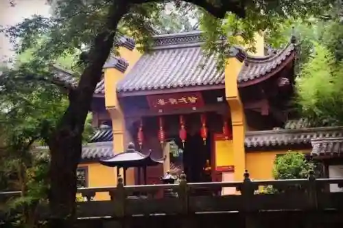 六妻一妾闹江湖(三妻四妾)插图4