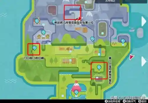 剑盾雪原最强阵容搭配(宝可梦剑盾最佳阵容)插图6