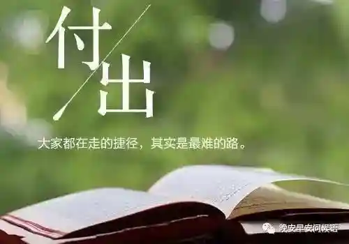 阴阳师破晓之光阵容搭配(阴阳师全sr阵容搭配推荐)插图3