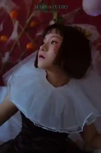 丧尸新娘阵容搭配图片高清(行尸崛起之丧尸新娘评价)插图6