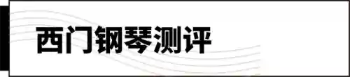 十大最难学的乐器(什么乐器可以参加艺考)插图3