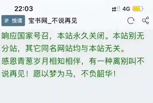 宝书网和趣书网都进不去(可以替代趣书网宝书网)插图1