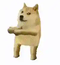 搞笑动态表情包(搞笑GIF图片)插图15
