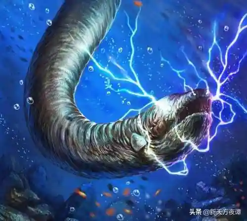 中国十大最恐怖鱼(鱼类大全看图识鱼)插图1