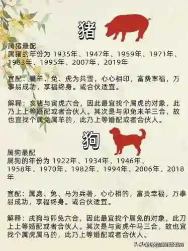 最佳好友阵容搭配图表高清(最佳阵容下载)插图3