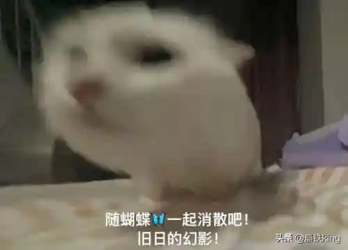 希儿适配阵容怎么搭配(崩坏3s希尔阵容搭配)插图1