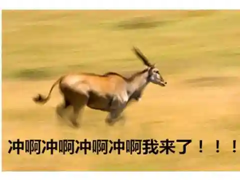 拉文霍德声望匕首(拉文霍德庄园盗贼任务有必要做吗)插图13