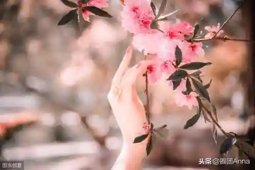 皎皎媚生香(皎皎生香笔趣阁)插图1