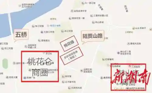 合纵联盟手游云顶阵容搭配(云顶之弈组合推荐)插图5