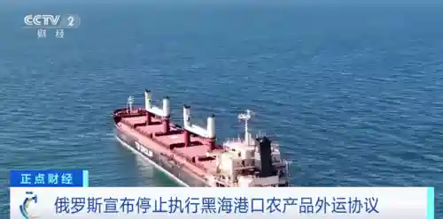 俄罗斯决定停止(北约：不能允许俄罗斯战胜乌)