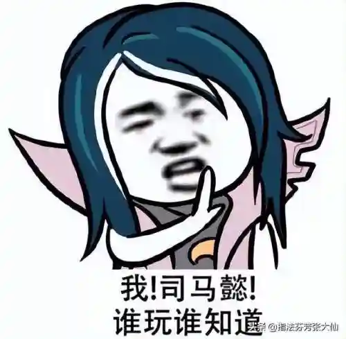王者打野适配阵容搭配图(三国志战略版打野阵容)插图4