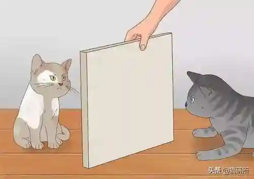 猫咪打架厉害的阵容搭配(一刀传世打架厉害的职业搭配)插图4