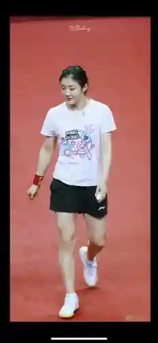 小胖鱼手游推荐阵容搭配(咸鱼之王最强阵容)插图3