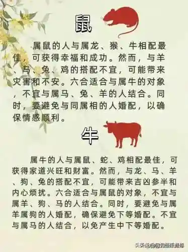地宫问道阵容搭配图片最新(问道手游力水地宫最强阵容)插图4