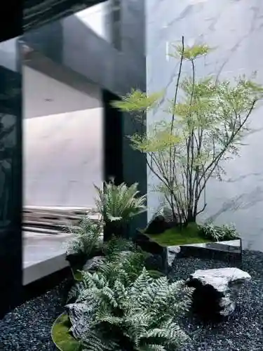 5阶植物最强阵容搭配(十个最不值得升五阶的植物)插图9