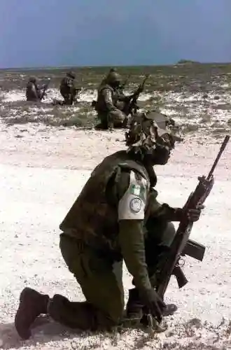 佣兵阵线最强搭配阵容(佣兵战纪平民刷图t0阵容)插图4