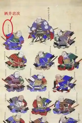 酒井忠胜阵容搭配(阴阳师魂十一茨林阵容)插图1