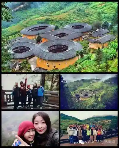 土楼试炼阵容怎么搭配(金玉满堂幻境试炼阵容推荐最新)插图40