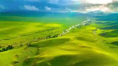 放牧美利坚(我的美利坚青山铁杉)插图6