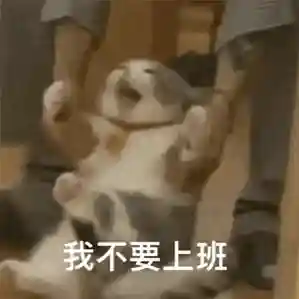 搞笑动态表情包(搞笑GIF图片)插图23