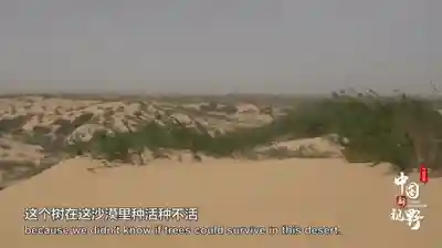 魔担刺最强阵容搭配(大天使之剑双智魔阵容)插图2