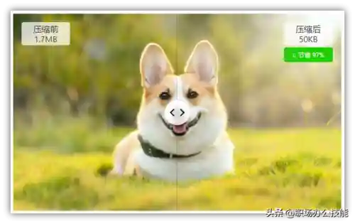 电脑办公软件(云顶之弈电脑版阵容搭配)插图9