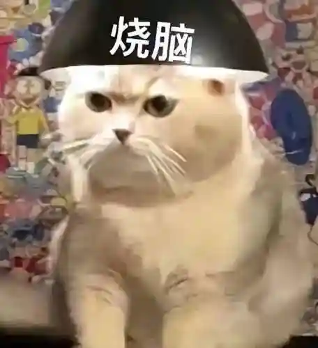 掌上英雄联盟手机版(掌上英雄联盟战绩查询网页版)插图1