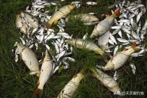 一浅二深三大叫什么(一女不过三精什么意思)