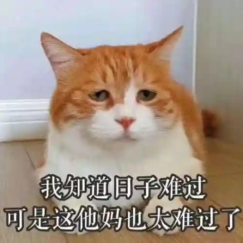 斗图表情包(小黑子专用表情包)插图4