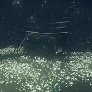 壁纸引擎18+推荐(壁纸引擎18+怎么设置静态壁纸)插图34 壁纸引擎18+推荐(壁纸引擎18+怎么设置静态壁纸)插图34