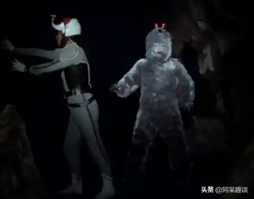 瓦伊路德星人(伊路德人是男是女)