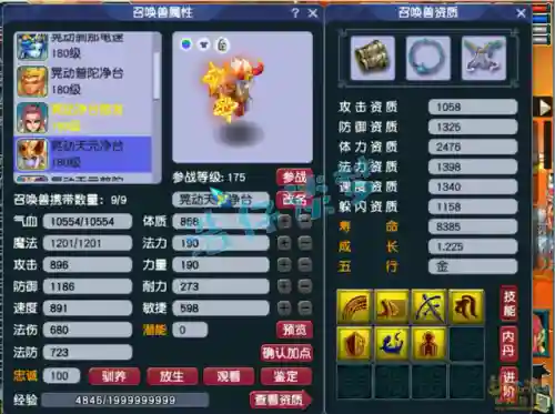 175普陀山搭配阵容(175普陀单加敏还是体敏好)插图12