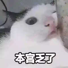 网上特别火的那个猫表情包(猫咪摇头表情包动图)插图22 网上特别火的那个猫表情包(猫咪摇头表情包动图)插图22