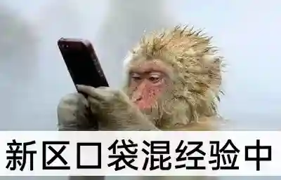 斗战神念西游礼包(斗战神从0到80要花多少钱)插图6