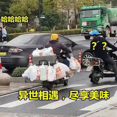 原神最佳跑腿阵容搭配(神都夜行录绮罗搭配阵容)